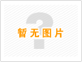 線紋系列